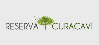 www.reservacuracavi.cl