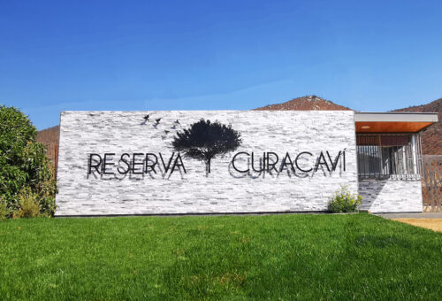 Parcela en Cuyuncaví en loma de 5.000 m2 con terraplén
