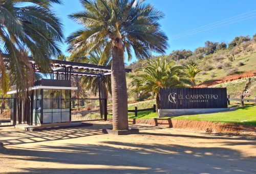 Parcelas de 5.000 m2 en Casablanca, Lo Ovalle. Financiamiento