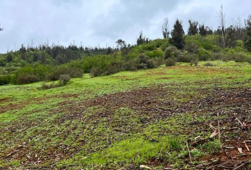Parcela 5.000 m² con terraza y doble acceso en Canto del Valle, Lo Orozco