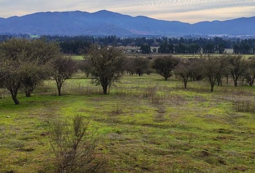 Parcela plana de 5.688 m² en Fundo Baracaldo, María Pinto